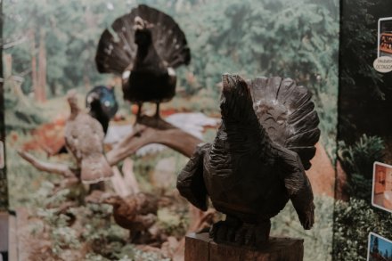 Wiślańskie Noce Muzeów 2024